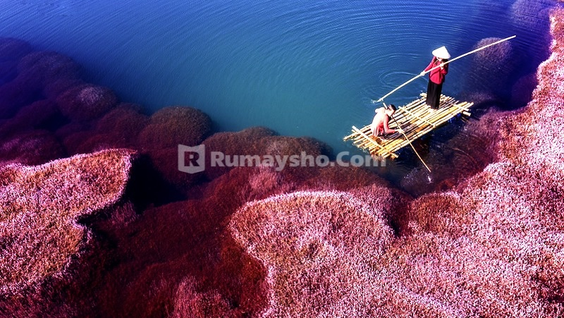 Diperlakukan Buruk oleh Kerabat, Tetap Balas dengan&nbsp;Kebaikan