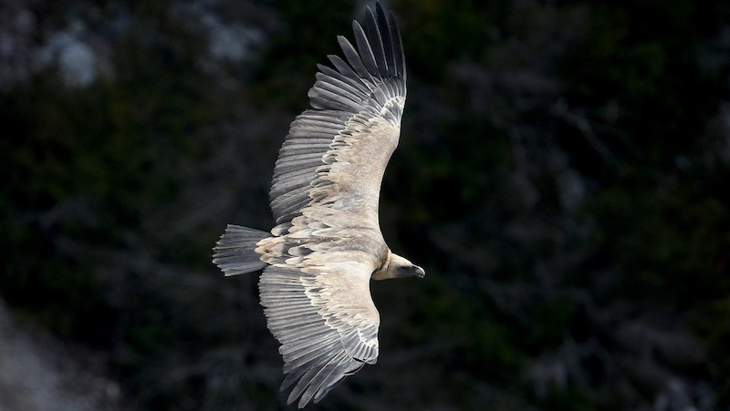Jangan Tertipu dengan Ampunan Allah: Nasihat Ibnul Qayyim bagi Pendosa