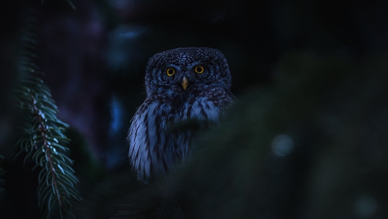 Siksaan Bagi Pendosa